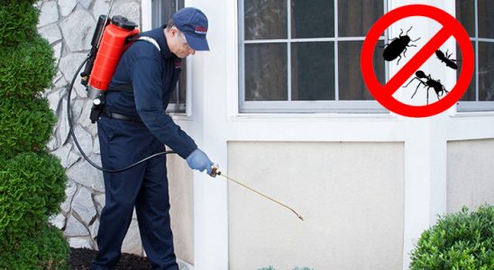 Ermenek Kene İlaçlama böcek ilaçlama ve haşere kontrolü — ilaclama-tr.com